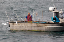 Fisherman on the Aber Ildut © Philip Plisson / Plisson La Trinité / AA29864 - Photo Galleries - Job