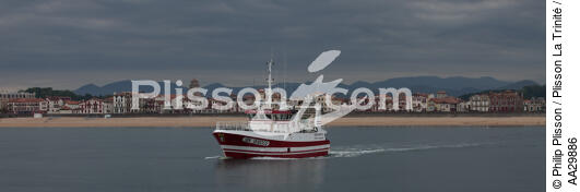 Saint-Jean-de-Luz - © Philip Plisson / Plisson La Trinité / AA29886 - Photo Galleries - Fishing vessel