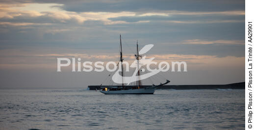 Saint-Jean-de-Luz - © Philip Plisson / Plisson La Trinité / AA29901 - Photo Galleries - Iceland schooner with topsails