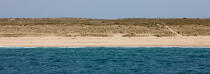 Landes coast © Philip Plisson / Plisson La Trinité / AA29980 - Photo Galleries - Dune