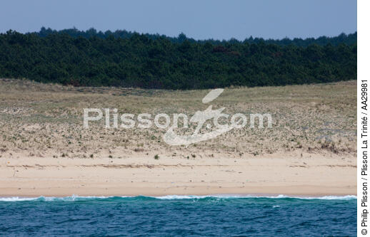 Landes coast - © Philip Plisson / Plisson La Trinité / AA29981 - Photo Galleries - Beach
