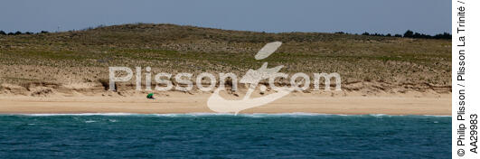 Landes coast - © Philip Plisson / Plisson La Trinité / AA29983 - Photo Galleries - Dune