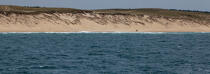 Landes coast © Philip Plisson / Plisson La Trinité / AA29984 - Photo Galleries - Dune