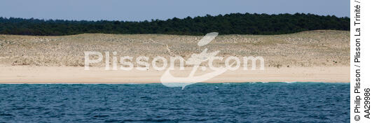 Landes coast - © Philip Plisson / Plisson La Trinité / AA29986 - Photo Galleries - Beach