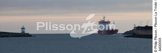 Port de Boucau-Bayonne - © Philip Plisson / Plisson La Trinité / AA30003 - Nos reportages photos - Cargo