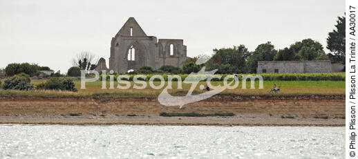 The ruins of the abbey of Châteliers on the island of Ré [AT] - © Philip Plisson / Plisson La Trinité / AA30017 - Photo Galleries - Poitou-Charentes