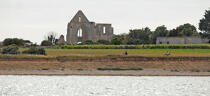 Les ruines de l'abbaye des Châteliers sur l'île de Ré © Philip Plisson / Plisson La Trinité / AA30017 - Nos reportages photos - Poitou-Charentes