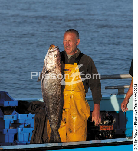 Pêche au maigre dans l'estuaire de la Gironde - © Philip Plisson / Plisson La Trinité / AA30042 - Nos reportages photos - Fleuve