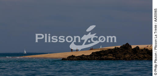 Houat island - © Philip Plisson / Plisson La Trinité / AA30065 - Photo Galleries - Beach