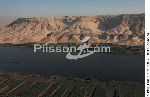 Cultures sur les rives du Nil - © Philip Plisson / Plisson La Trinité / AA30073 - Nos reportages photos - Egypte