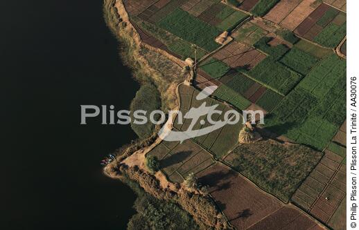 Sur les bords du Nil - © Philip Plisson / Plisson La Trinité / AA30076 - Nos reportages photos - L'Egypte vue du ciel