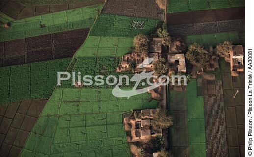 Le delta, la région la plus fertile d'Egypte - © Philip Plisson / Plisson La Trinité / AA30081 - Nos reportages photos - Egypte