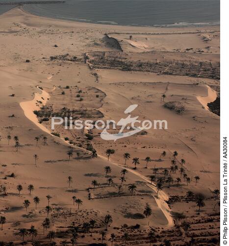 Paysage des abords d'Alexandrie, Egypte. - © Philip Plisson / Plisson La Trinité / AA30084 - Nos reportages photos - Format carré