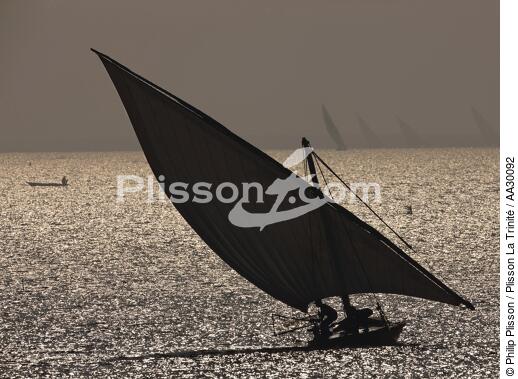 le delta du Nil, Egypte - © Philip Plisson / Plisson La Trinité / AA30092 - Nos reportages photos - Bateau de pêche