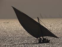 the Nile Delta, Egypt © Philip Plisson / Plisson La Trinité / AA30092 - Photo Galleries - Old gaffer