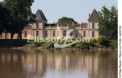 Sur la Dordogne - © Philip Plisson / Plisson La Trinité / AA30106 - Nos reportages photos - Fleuve