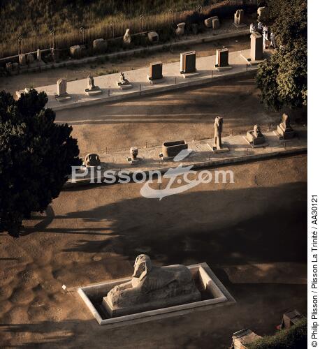 Vestiges de la ville antique de Memphis, Egypte. - © Philip Plisson / Plisson La Trinité / AA30121 - Nos reportages photos - Memphis