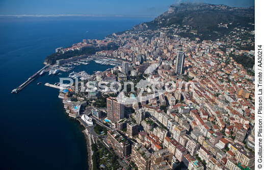 Monaco, vu du ciel. - © Guillaume Plisson / Plisson La Trinité / AA30214 - Nos reportages photos - Guillaume Plisson