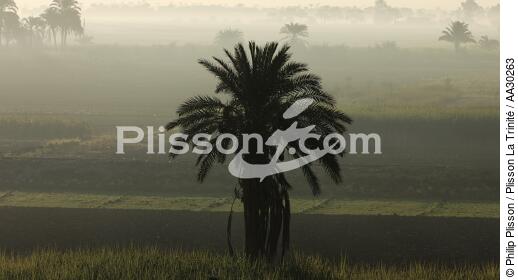 Landscape of the left bank of Luxor [AT] - © Philip Plisson / Plisson La Trinité / AA30263 - Photo Galleries - Egypt