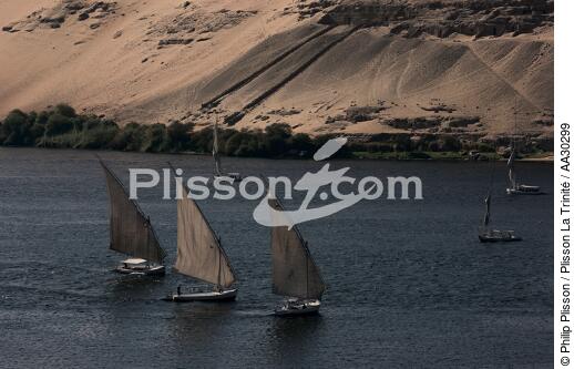 Felouques sur le Nil. - © Philip Plisson / Plisson La Trinité / AA30299 - Nos reportages photos - Felouque