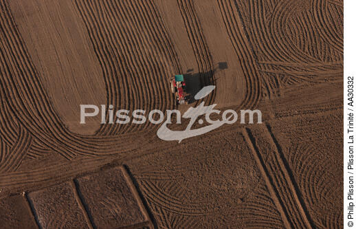Cultures sur les bords du Nil - © Philip Plisson / Plisson La Trinité / AA30332 - Nos reportages photos - Fleuve [Egypte]