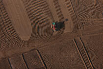 Cultures sur les bords du Nil © Philip Plisson / Plisson La Trinité / AA30332 - Nos reportages photos - Tracteur