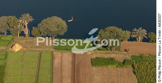 Cultures sur les bords du Nil - © Philip Plisson / Plisson La Trinité / AA30337 - Nos reportages photos - Fleuve [Egypte]