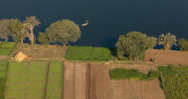 Cultures sur les bords du Nil © Philip Plisson / Plisson La Trinité / AA30337 - Photo Galleries - Interior landscape