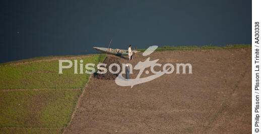 Cultures sur les bords du Nil - © Philip Plisson / Plisson La Trinité / AA30338 - Photo Galleries - River [Eygpt]