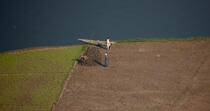 Cultures sur les bords du Nil © Philip Plisson / Plisson La Trinité / AA30338 - Nos reportages photos - L'Egypte vue du ciel