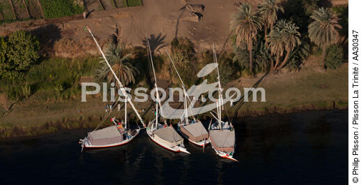 Sur le Nil. - © Philip Plisson / Plisson La Trinité / AA30347 - Nos reportages photos - L'Egypte vue du ciel