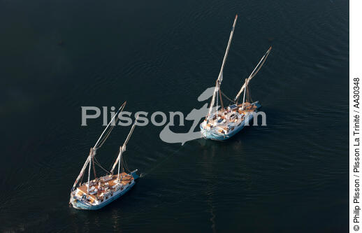 On Nile river. - © Philip Plisson / Plisson La Trinité / AA30348 - Photo Galleries - Felucca