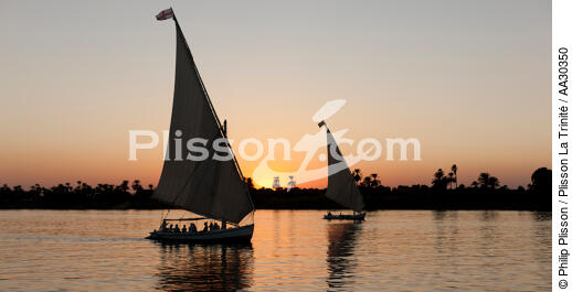 Sur le Nil. - © Philip Plisson / Plisson La Trinité / AA30350 - Nos reportages photos - Felouque