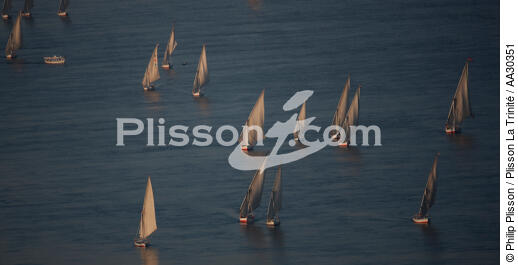 Sur le Nil. - © Philip Plisson / Pêcheur d’Images / AA30351 - Nos reportages photos - L'Egypte vue du ciel