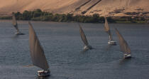 On Nile river. © Philip Plisson / Plisson La Trinité / AA30354 - Photo Galleries - River [Eygpt]