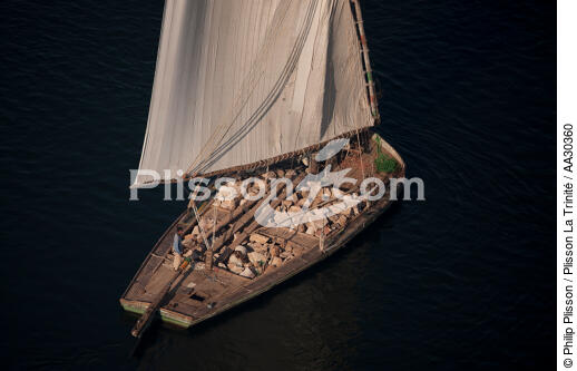 On Nile river. - © Philip Plisson / Plisson La Trinité / AA30360 - Photo Galleries - Felucca