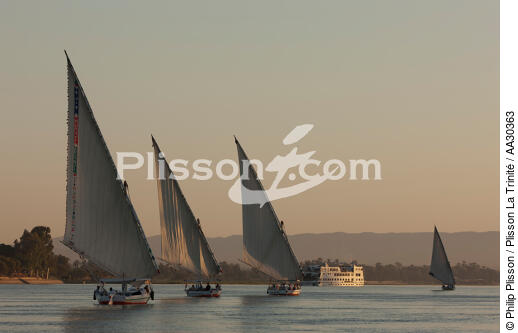 On Nile river. - © Philip Plisson / Plisson La Trinité / AA30363 - Photo Galleries - Egypt
