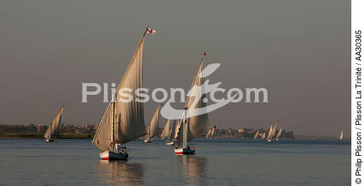 Sur le Nil. - © Philip Plisson / Plisson La Trinité / AA30365 - Nos reportages photos - Felouque