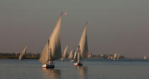 Sur le Nil. © Philip Plisson / Plisson La Trinité / AA30365 - Nos reportages photos - L'Egypte vue du ciel