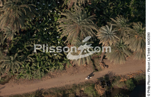 Sur les rives du Nil - © Philip Plisson / Plisson La Trinité / AA30390 - Nos reportages photos - Fleuve [Egypte]