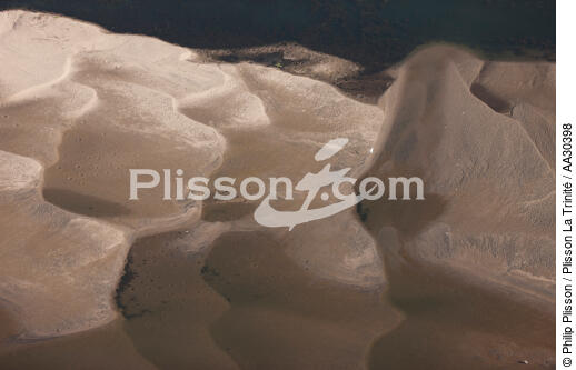 On the banks of the Nile - © Philip Plisson / Plisson La Trinité / AA30398 - Photo Galleries - River [Eygpt]