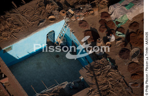 Drying of dates on the roofs, Egypt - © Philip Plisson / Plisson La Trinité / AA30435 - Photo Galleries - House