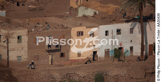 On the banks of the Nile. - © Philip Plisson / Plisson La Trinité / AA30439 - Photo Galleries - Egypt from above