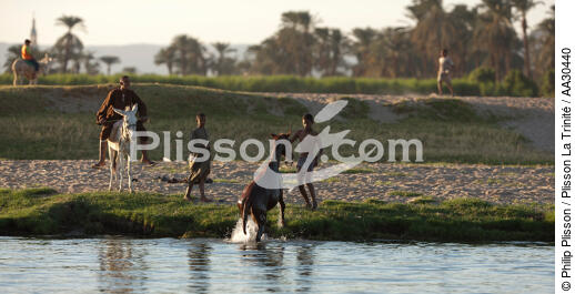 Sur les rives du Nil. - © Philip Plisson / Plisson La Trinité / AA30440 - Nos reportages photos - Personnage