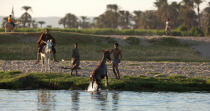 On the banks of the Nile. © Philip Plisson / Plisson La Trinité / AA30440 - Photo Galleries - Man