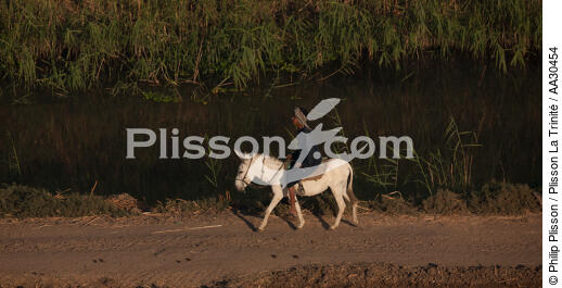 Sur les rives du Nil, Egypte - © Philip Plisson / Plisson La Trinité / AA30454 - Nos reportages photos - Fleuve [Egypte]