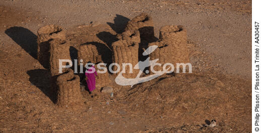 Egypt - © Philip Plisson / Plisson La Trinité / AA30457 - Photo Galleries - Interior landscape