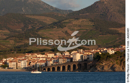 Banyuls-sur-mer - © Philip Plisson / Pêcheur d’Images / AA30481 - Photo Galleries - From Cerbère to Adge