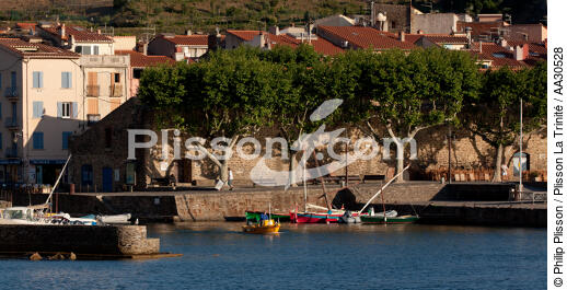 Collioure - © Philip Plisson / Plisson La Trinité / AA30528 - Photo Galleries - Languedoc-Roussillon