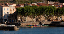 Collioure © Philip Plisson / Pêcheur d’Images / AA30528 - Photo Galleries - From Cerbère to Adge